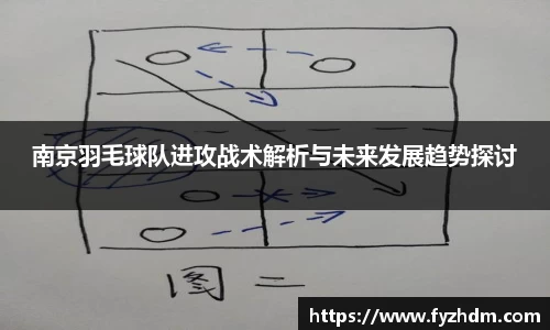 南京羽毛球队进攻战术解析与未来发展趋势探讨